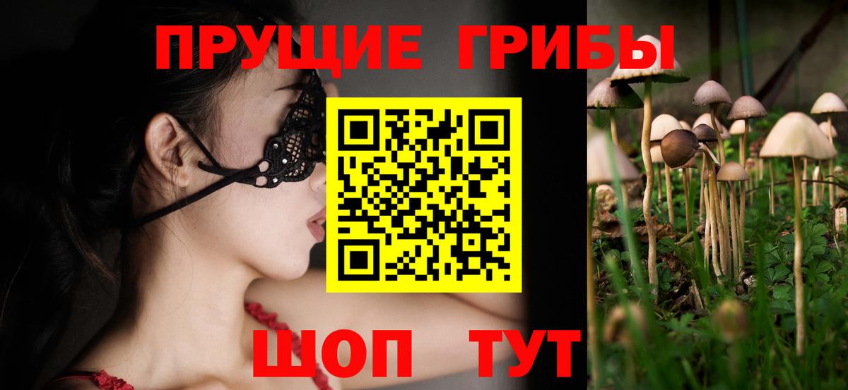 Шадринск  где купить   Вход с VPN  Галлюциногенные грибы Magic Shrooms 