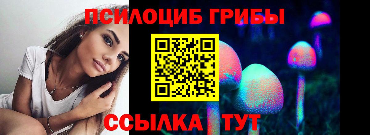 Галлюциногенные грибы Cubensis Шадринск